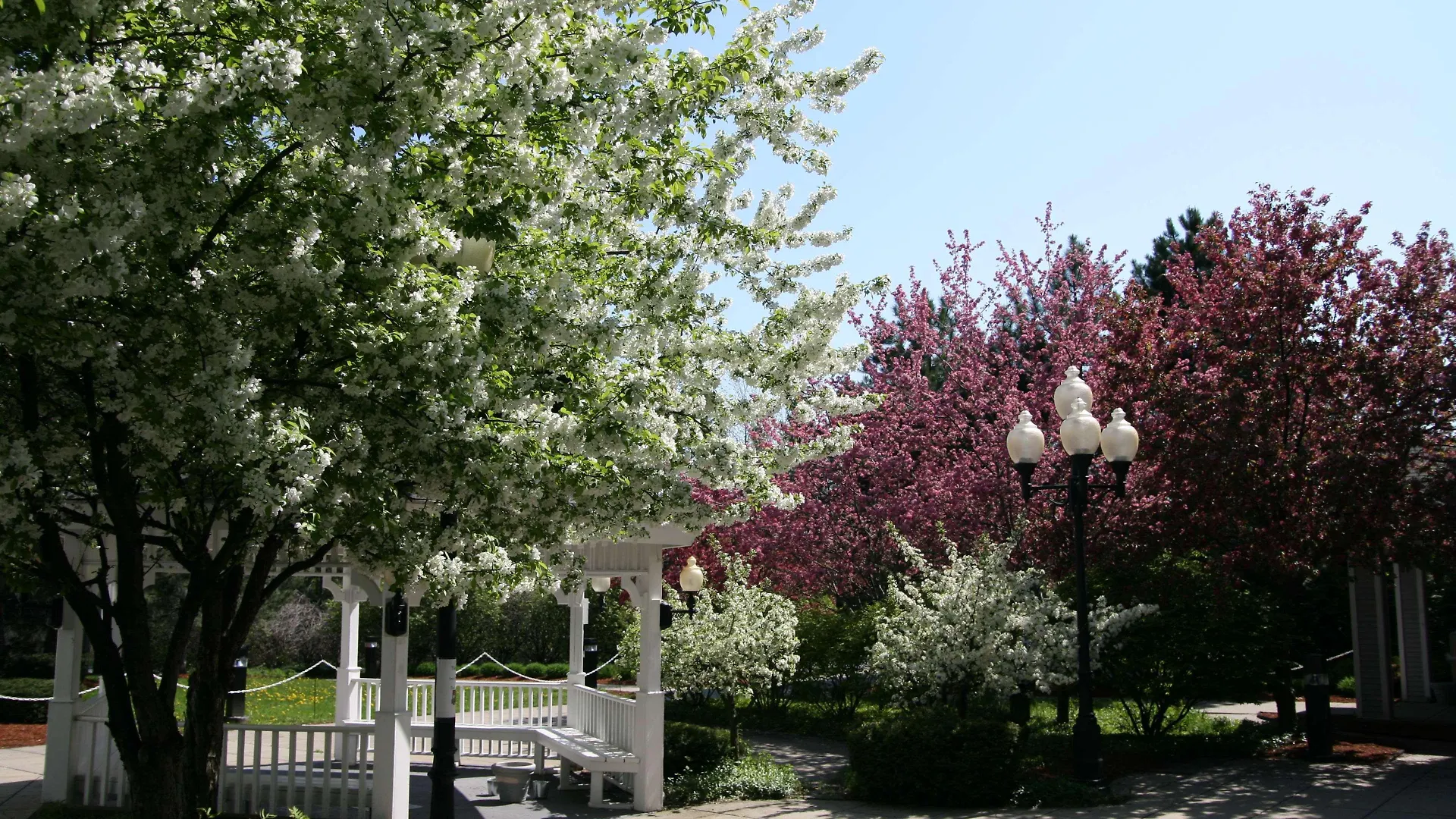 Hampton - Colchester Burlington