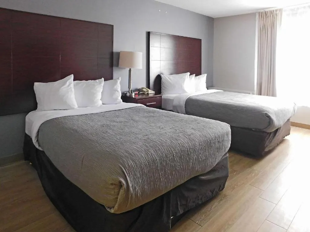 Han/Misafirhane Quality Colchester -