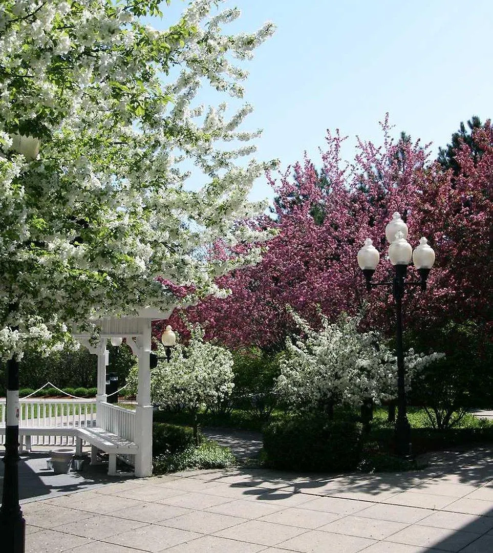 Hampton - Colchester Hotel