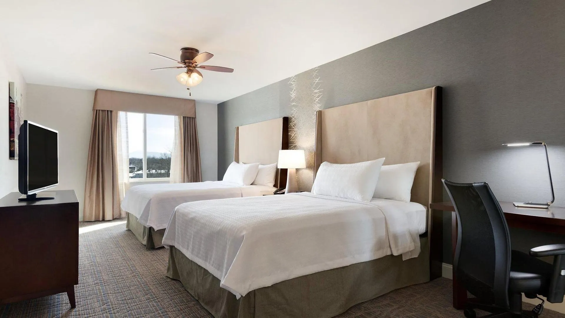 Comfort & Hotell
