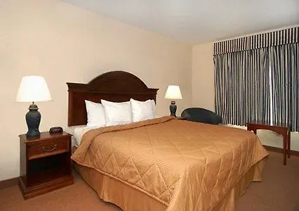 Comfort & Hotell
