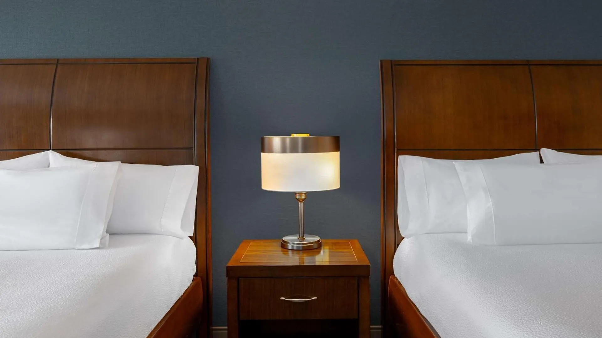 Hilton Garden Downtown Mini-hôtel 3*