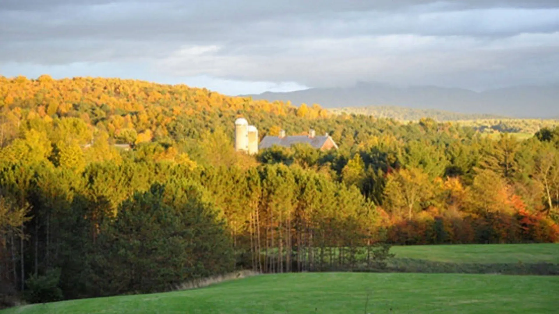 The At Grace Farm 3*